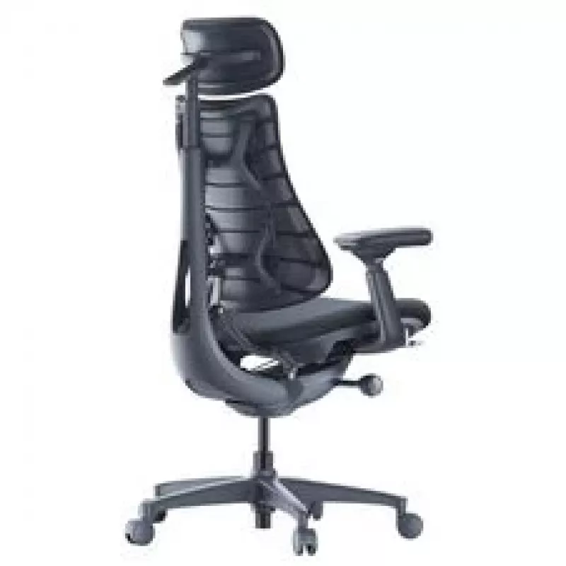 LiberNovo Omni Cadeira de escritório ergonómica com encosto ativo e função de massagem, preta