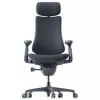 LiberNovo Omni Cadeira de escritório ergonómica com encosto ativo e função de massagem, preta