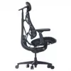 LiberNovo Omni Cadeira de escritório ergonómica com encosto ativo e função de massagem, preta