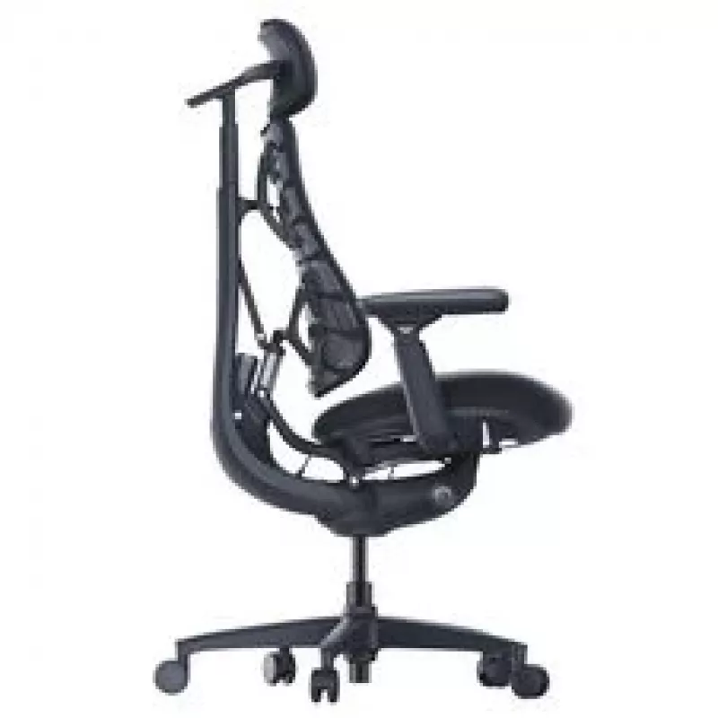 LiberNovo Omni Cadeira de escritório ergonómica com encosto ativo e função de massagem, preta