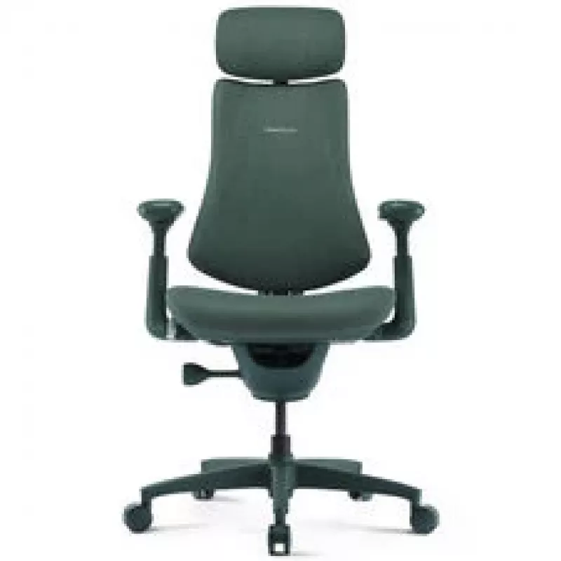 LiberNovo Omni Cadeira de escritório ergonómica com apoio lombar ativo e massagem - verde