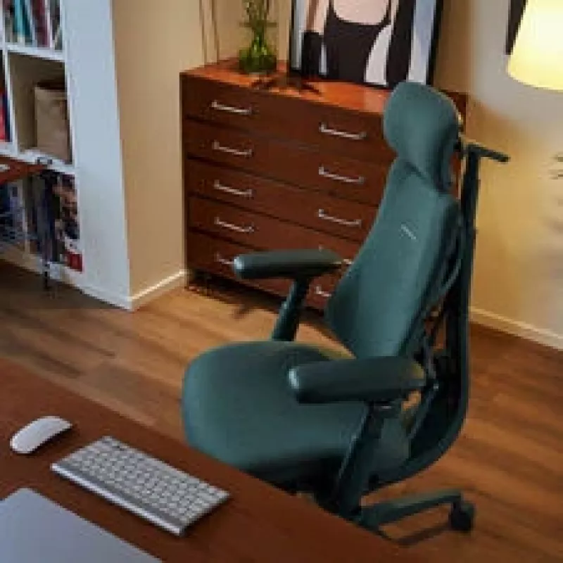 LiberNovo Omni Cadeira de escritório ergonómica com apoio lombar ativo e massagem - verde