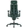 LiberNovo Omni Cadeira de escritório ergonómica com apoio lombar ativo e massagem - verde
