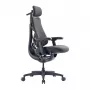 LiberNovo Omni GEN 48 cm Cadeira ergonómica, Grafite