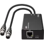 LINDY codificador de áudio XLR de 2 canais para Dante, PoE, AES67, 24-Bit/96kHz 70618