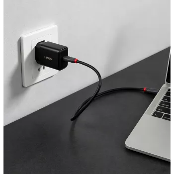 Lindy Carregador USB Type-C GaN 65W (73448)