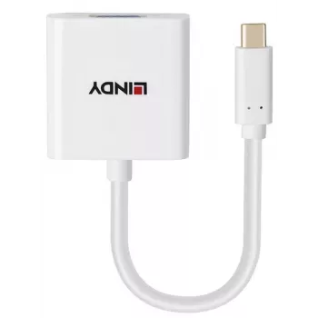 LINDY Conversor USB Type C para VGA 43437