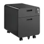 Arquivador móvel LOGILINK, 2 gavetas com fechadura, preto