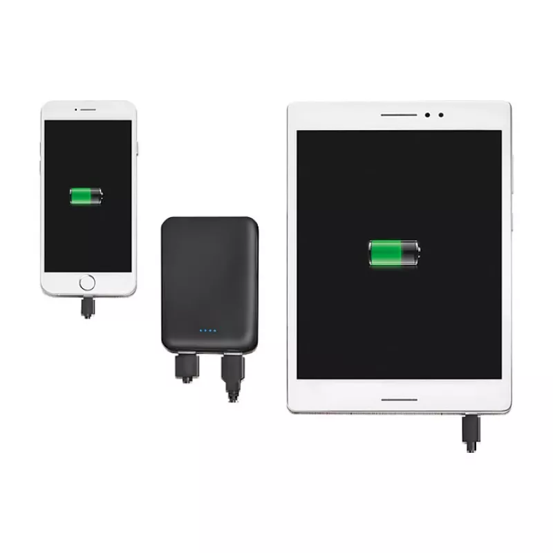 LogiLink PA0202 Powerbank 5000mAh preto