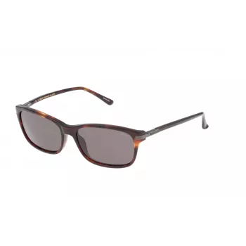 Óculos de sol unissexo LOZZA SL4029M564APP - 56/16/140 mm - Proteção UV400