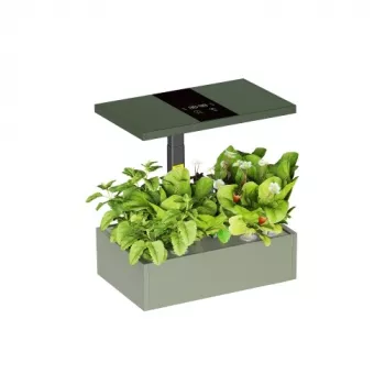 LUMI LEGEND CORPORATION HS085001 sistema de cultivo hidropónico inteligente para interior, 12 pods, LED de espetro completo, controlo por app Wi-Fi, branco