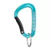 Mosquetão mini Mammut Classic Keylock S - prateado/cinzento