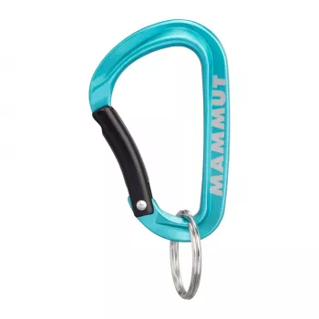 Mosquetão mini Mammut Classic Keylock S - prateado/cinzento