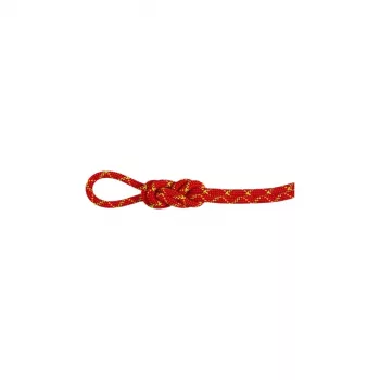 Corda seca Mammut Virve 8.0 Alpine Core Protect 70 m