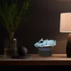 Manta SNL64RGB Lâmpada LED decoração de luz automóvel 3D RGB