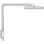 MAUL candeeiro de secretária LED Intro regulável com base de pinça branco