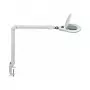 Candeeiro de lupa LED MAUL Source regulável branco