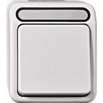 Merten Aquastar Interruptor de controlo bipolar com luz de controlo, cinzento-claro MEG3102-8029