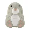 Momini Nebulizador Compressor NebuBunny
