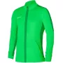 Sweatshirt Nike Dri-FIT Academy 23 homem Gorge Green L