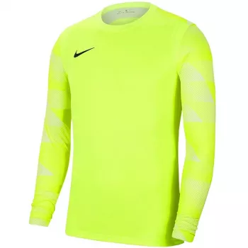 Sweatshirt de guarda-redes Nike Dry Park IV JSY LS GK Lime CJ6066 702 L