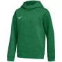 Sweatshirt com capuz Nike Park 26 Fleece criança verde XL