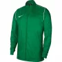 Nike RPL Park 20 RN JKT W Casaco de Futebol Homem Verde BV6881 302 S