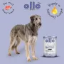 OLLO Plus Collagen Mono Lamb Comida húmida para cães 800g