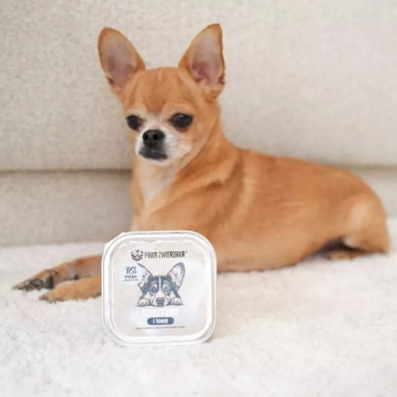 PAKA ZWIERZAKA caça e salmão comida húmida para cães - 150g