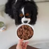 Paka Zwierzaka Pepe Comida húmida de veado para cães 400g