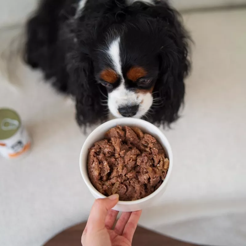 Paka Zwierzaka Pepe Comida húmida de veado para cães 400g
