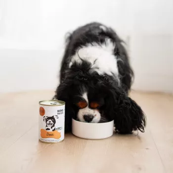 Paka Zwierzaka Pepe Comida húmida de veado para cães 400g