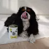 Comida húmida Paka Zwierzaka Pepe peru para cães 400g