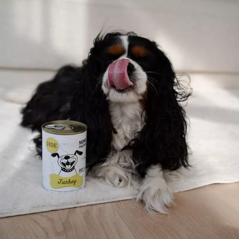 Comida húmida Paka Zwierzaka Pepe peru para cães 400g