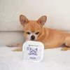 PAKA ZWIERZAKA Porco com mirtilos Mono comida húmida para cães 150g