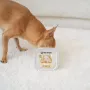 PAKA ZWIERZAKA coelho e javali com abóbora - comida húmida sem cereais para cães - saco 150g