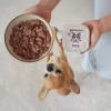 PAKA ZWIERZAKA peru e arandos comida húmida para cães – sem cereais, saqueta de 150 g