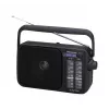 Rádio analógico portátil AM/FM Panasonic RF-2400DEG-K - preto