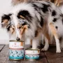PERRO Carne de vaca com raiz de salsa Alimento húmido para cães 850g