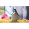 Philips DST2030/90 Ferro de engomar a vapor - 2000W, base antiaderente, depósito de 270ml