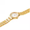 Relógio analógico de quartzo de mulher Pierre Cardin CF.0611.SE.G 30mm mesh em aço inoxidável