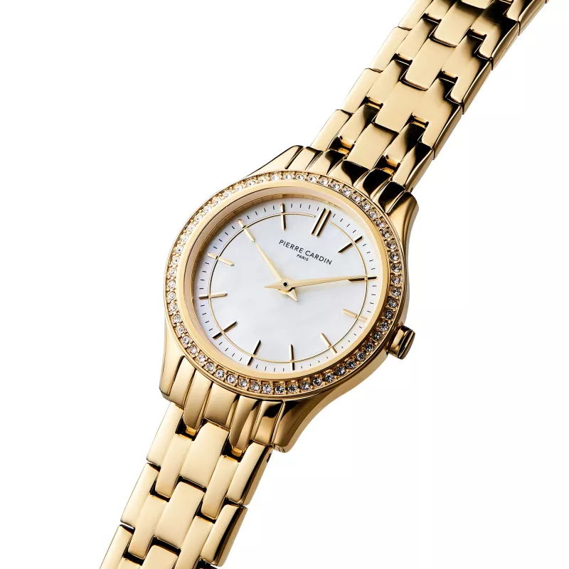 Relógio analógico de quartzo de mulher Pierre Cardin CF.0611.SE.G 30mm mesh em aço inoxidável