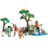 PLAYMOBIL 72067 passeio de fadas