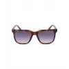 POLICE Óculos de sol para homem SPLN34M540878 armação de acetato Havana lentes castanhas 54mm