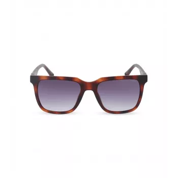 POLICE Óculos de sol para homem SPLN34M540878 armação de acetato Havana lentes castanhas 54mm