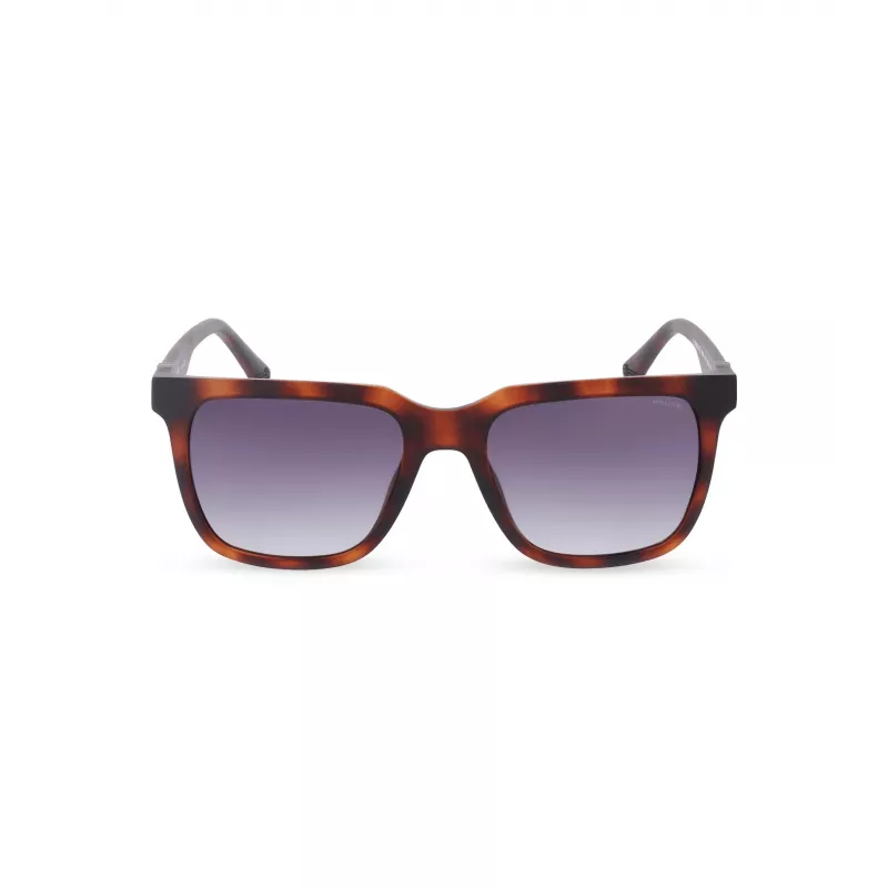 POLICE Óculos de sol para homem SPLN34M540878 armação de acetato Havana lentes castanhas 54mm