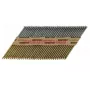 Pregos PT 3.1 x 90 mm, em papel, galvanizados a quente G12 - 2500 unid.
