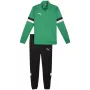 Fato de treino PUMA Team Rise homem Forest Night / Puma Black tamanho M