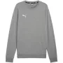 Puma Team Goal Casuals Sweatshirt de Gola Redonda Cinzento 658592 33 M