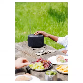 Altifalante Bluetooth Portátil PURE ACOUSTICS Pure Woodland – 10W, impermeável, Rádio FM/DAB+, Preto (253344)